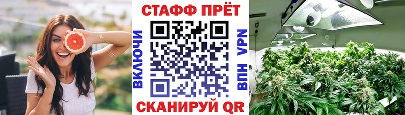Виды наркотиков купить Заволжье A PVP  АМФ  Канабис  Кокаин  Мефедрон 