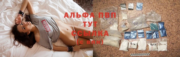 мдпв Елабуга