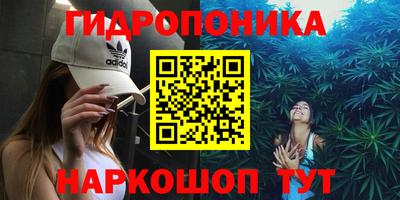 шишки Гусь-Хрустальный