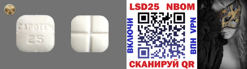 где продают наркотики  Заволжье  LSD-25 экстази ecstasy 