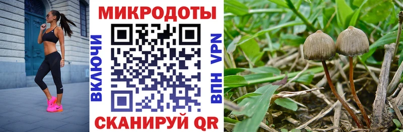 Псилоцибиновые грибы мухоморы  купить  цена  Заволжье 