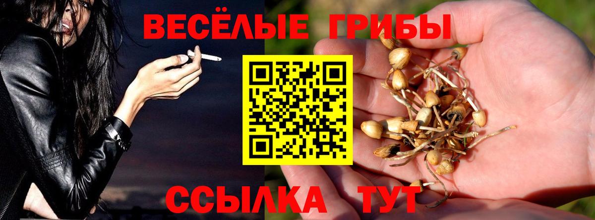 Заволжье  Псилоцибиновые грибы Psilocybine cubensis  Псилоцибиновые грибы Magic Shrooms  Вход с VPN 