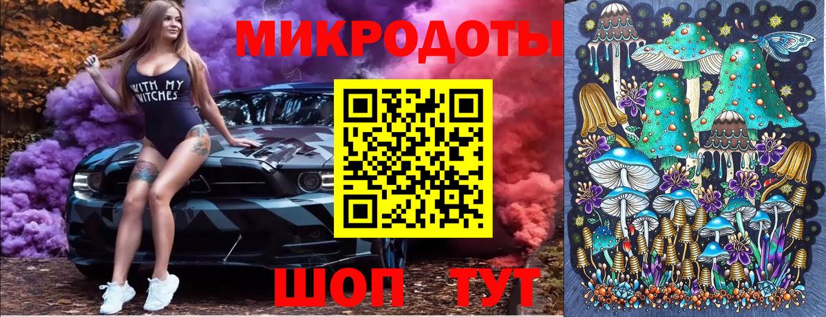 Псилоцибиновые грибы Psilocybe  Заволжье 